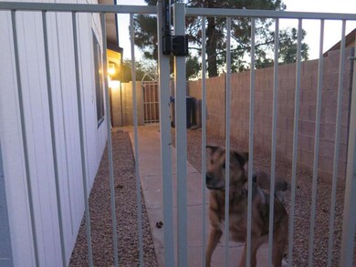 Fenced side yard with sidewalk