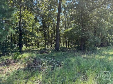 0 Sunbury Rd unit Tract 6 SA339082, Daisy, GA 30417 - photo 4