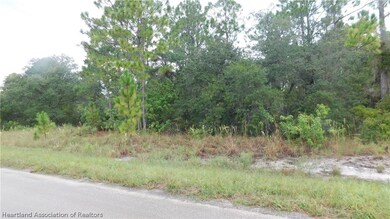 362 Jack Weisser Blvd, Lake Placid, FL 33852 - photo 4