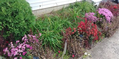 Beautiful Floral landscaping