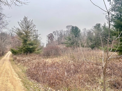 Lot 1 County Rd M, Clifton Township, WI 54022 - photo 7