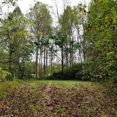 00 Lot 1 Lorelei Hills, Franklin, NC 28734 - photo 3