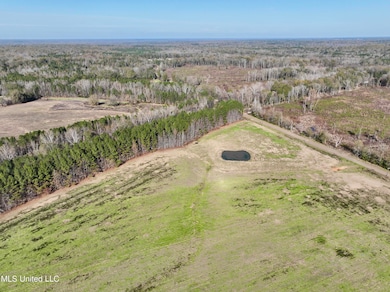 00002 Johnson Line Rd, Bolton, MS 39041 - photo 2