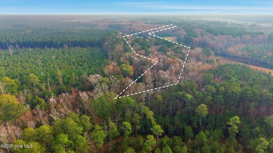 4360 Buck Dr, Cape Fear, NC 28429 - photo 3