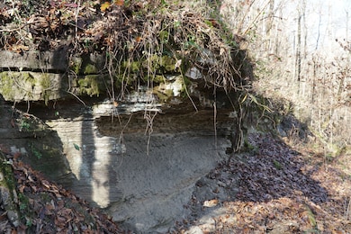 0, Hodges, AL 35571 - photo 7