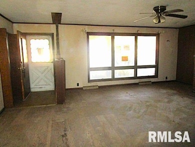 521 N West Ave, Mason City, IL 62664 - photo 5