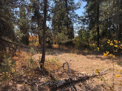 Nicely Wooded