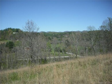 8 Timber Hill Dr unit LOT 2, Leicester, NC 28748 - photo 4