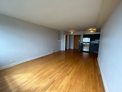4180 N Marine Dr unit 1207, Chicago, IL 60613 - photo 4