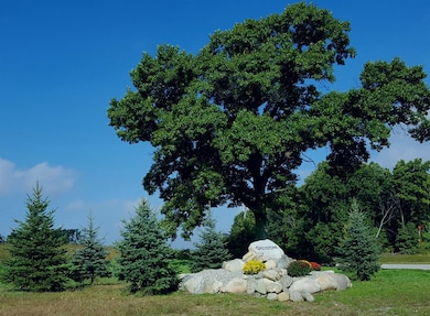 859 Greystone Dr unit 13, Chelsea, MI 48118 - photo 3