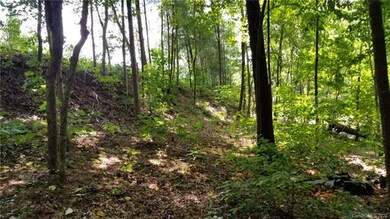 Just down off road about where a driveway would co