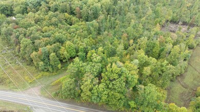 0 N Preston Hwy unit 10156603, Bruceton Mills, WV 26525 - photo 6