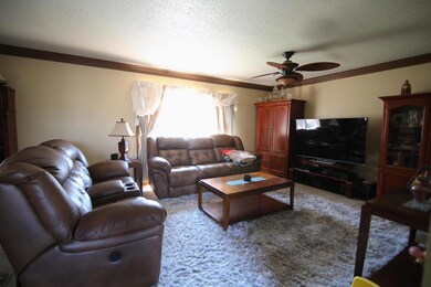 Home for Sale on Spring River 6