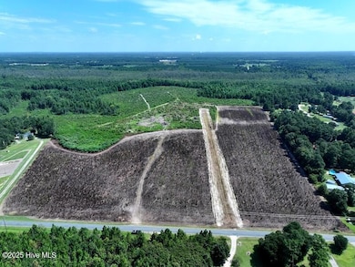 DJI_20250709034745_0529_D