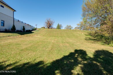 From Back of Lot