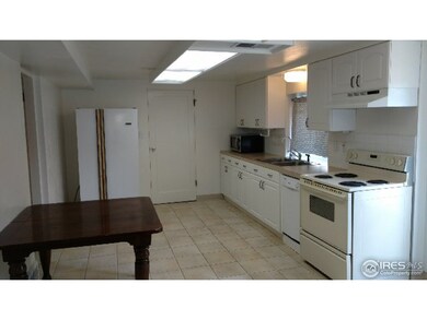 Lower Level Kitchen