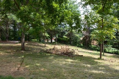 9999 Panorama Dr, Asheville, NC 28806 - photo 5