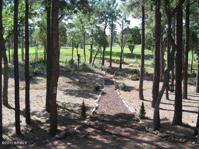 Backyard Path