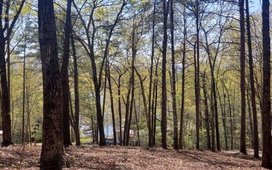 Additional View
