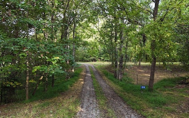 LOT 8 Murphy Ln, Mineral Bluff, GA 30559 - photo 2