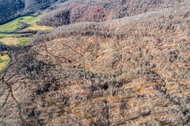 143.2AC Round Cove Rd, Cookeville, TN 38501 - photo 7