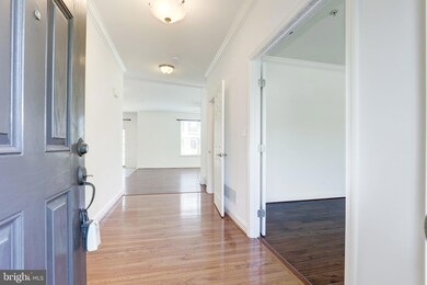 1110 Pasadena Yacht Yard Rd, Pasadena, MD 21122 - photo 6