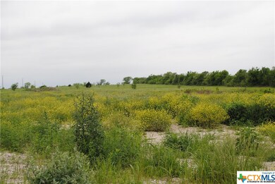 7548 Old Hwy 81, Temple, TX 76501 - photo 4