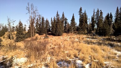 WP_20150313_12_27_55_Pro__highres.jpg