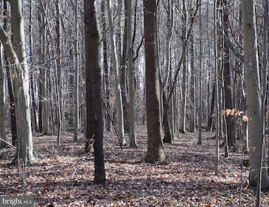 355 Masseys Church Rd, Smyrna, DE 19977 - photo 5