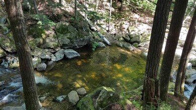 18 Mill Brook Rd, Thornton, NH 03285 - photo 6