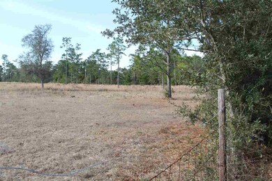 Another view from Nichols Creek Road
