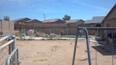 back yard