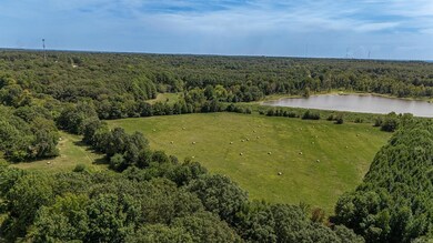 15 acres Casey Springs Rd, Jonesboro, AR 72404 - photo 5