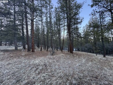 0 Bobcat Cir unit Lot 7 468719120, Beatty, OR 97621 - photo 5