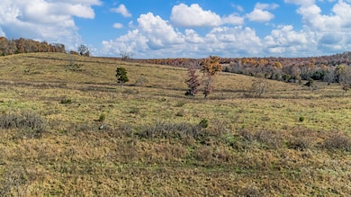 3156 Oregon County 219, Thayer, MO 65791 - photo 5