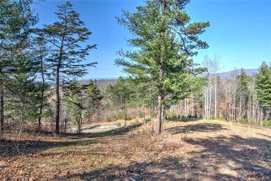 75 Magnolia Farms Dr unit 14, Asheville, NC 28806 - photo 5