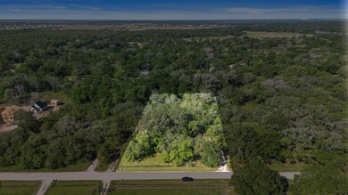 13803 Bryan Ave, Alvin, TX 77511 - photo 3