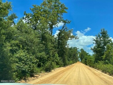 0 Skyview Rd unit 762410, Marianna, FL 32446 - photo 5