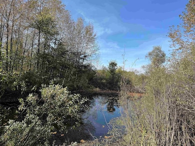 1xxx 460th Ln, Palisade, MN 56469 - photo 5