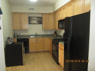 111 N Larch Ave unit 207, Elmhurst, IL 60126 - photo 4