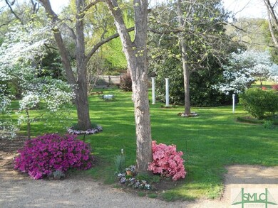 Back yard in the spring.