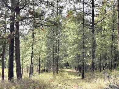 1617 S D 395 Hwy, Chewelah, WA 99109 - photo 7