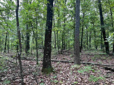 0 8 72 Acres On Meadow Creek Dr, Harrison, AR 72601 - photo 3