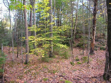 0 Ridge Rd unit 4516520, Newbury, NH 03255 - photo 4