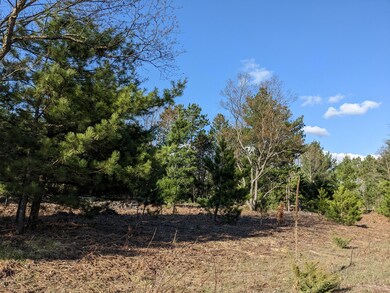 0 Jussi St unit 23021805, Kaleva, MI 49645 - photo 2