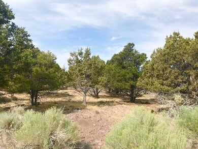 474 S Valley Heights Cir, Parowan, UT 84761 - photo 4