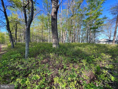 4892 High Knob Rd, Moorefield, WV 26836 - photo 7