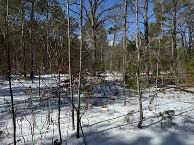 Lots 58-59 E Beach Rd, Garfield Township, MI 49762 - photo 6