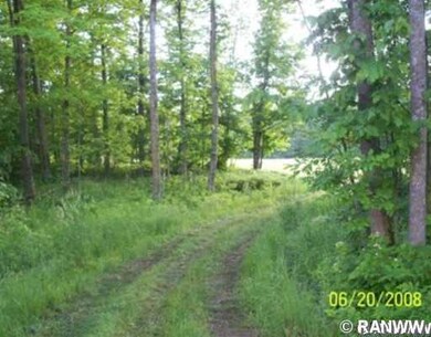 0 Cedar Swamp Rd unit 827193, Strickland, WI 54895 - photo 3