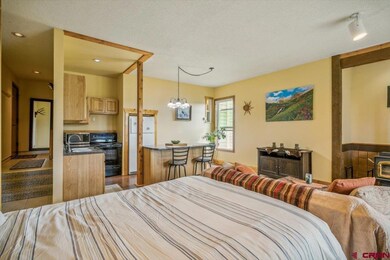 37 Valley View Dr unit 3136, Pagosa Springs, CO 81147 - photo 7